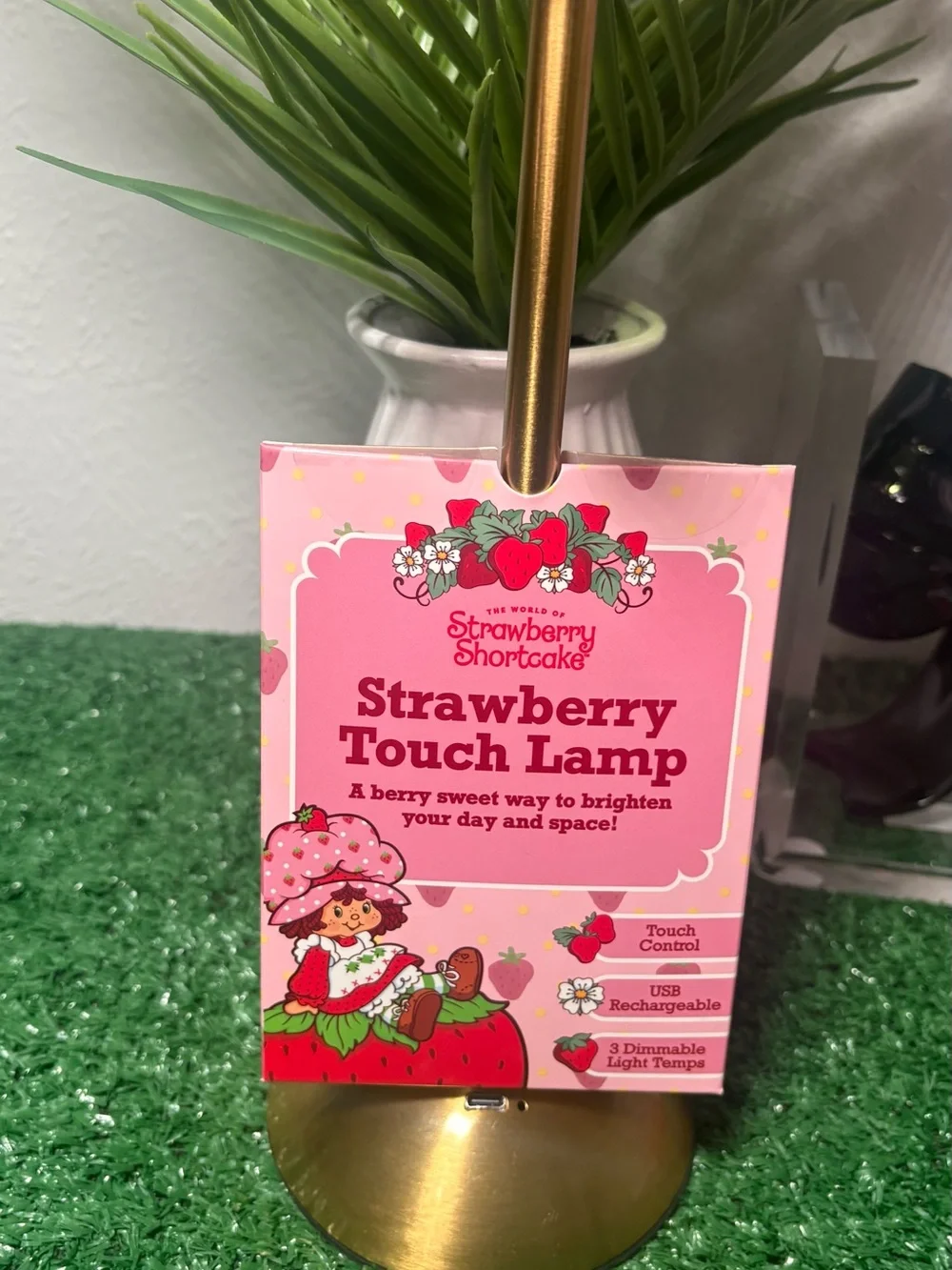 Strawberry Shortcake  Touch Lamp USB Rechargeable 3 Dimmable Settings